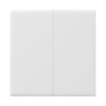 Pametno stensko stikalo na dotik WiFi Sonoff TX T5 2C (2-kanalno)